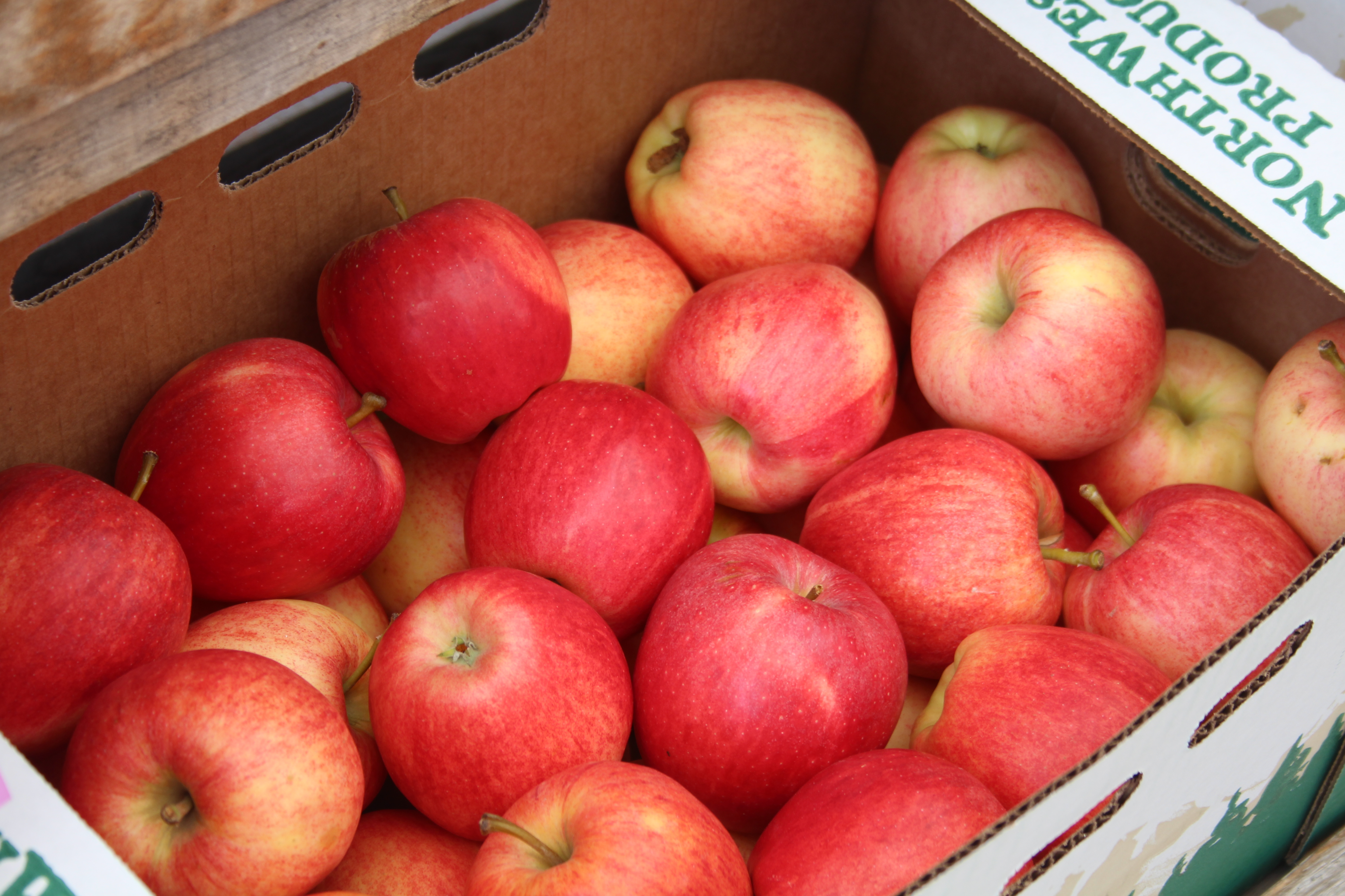 Great food starts in great gardens!